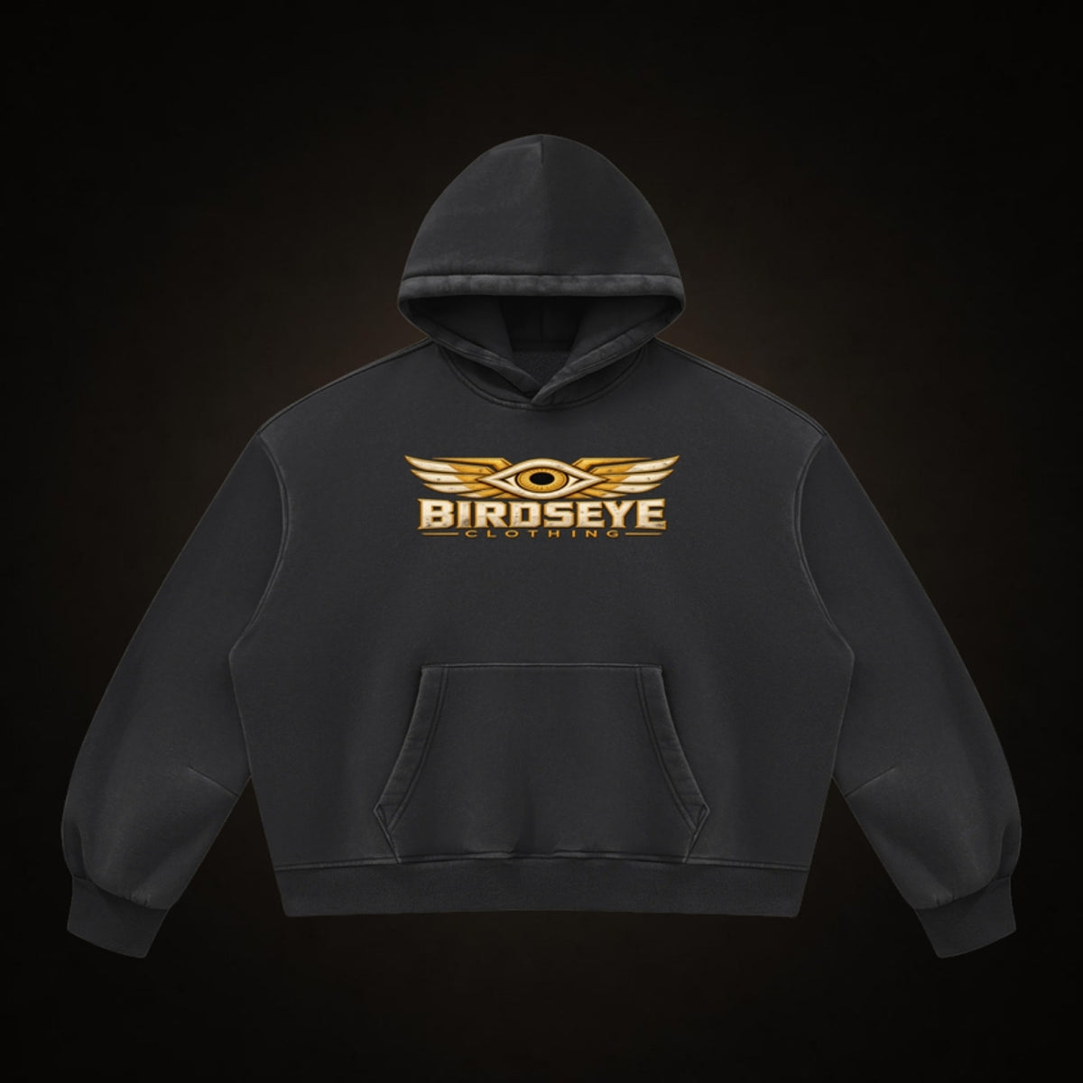 Unauthorized Airspace Hoodie