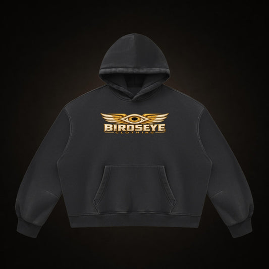 Unauthorized Airspace Hoodie