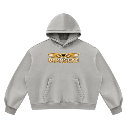 Unauthorized Airspace Hoodie