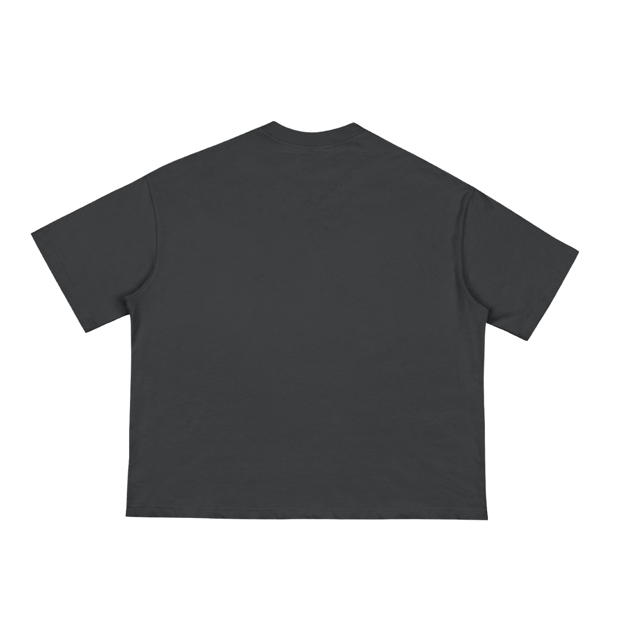 Birdseye Graffiti Boxy Tee