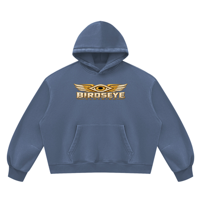 Unauthorized Airspace Hoodie