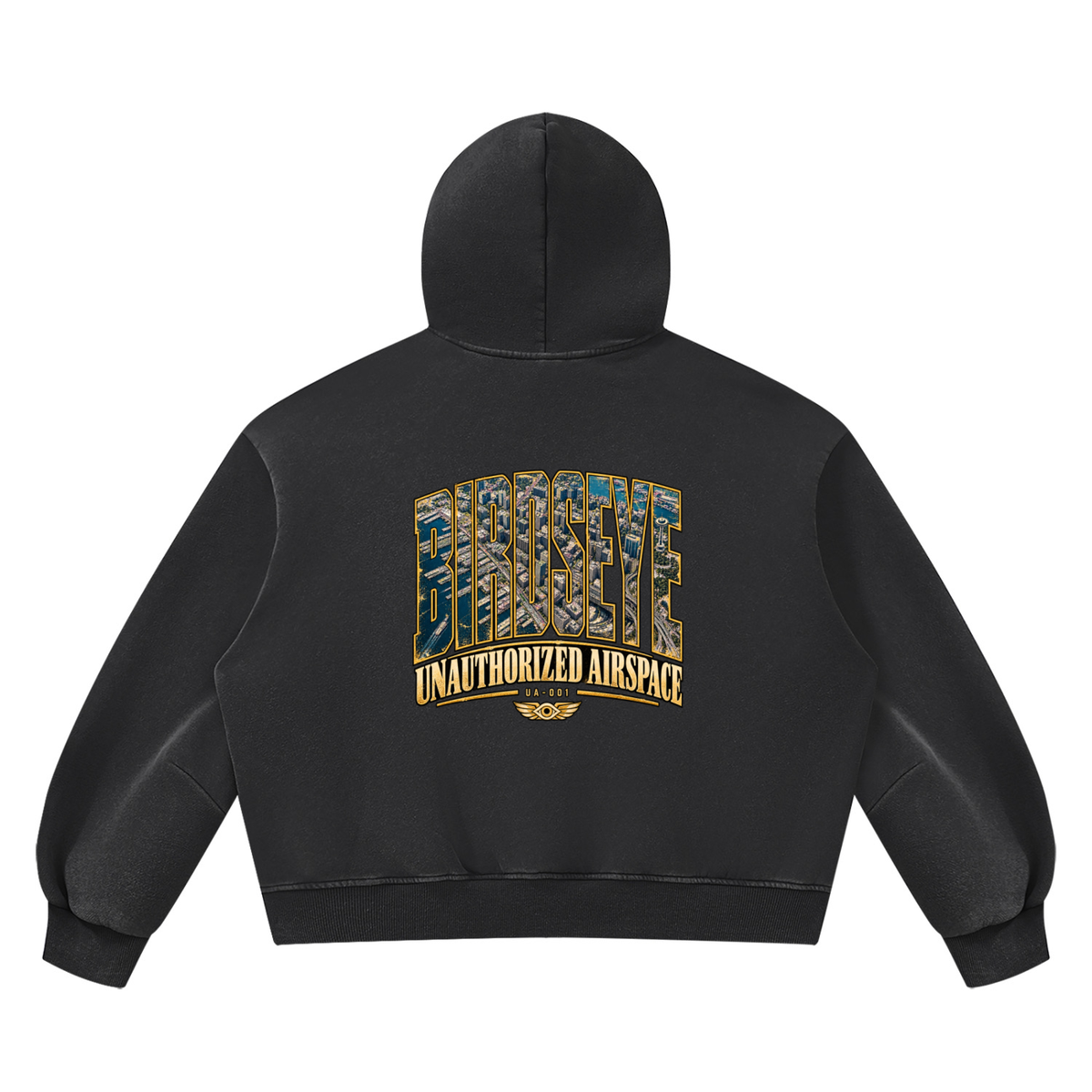 Unauthorized Airspace Hoodie