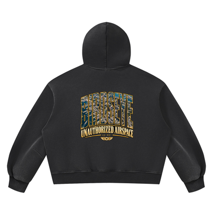 Unauthorized Airspace Hoodie