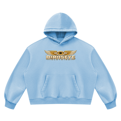 Unauthorized Airspace Hoodie