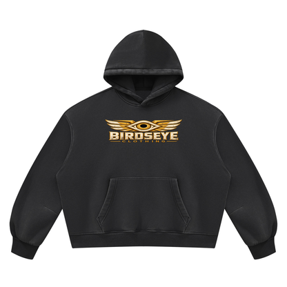 Unauthorized Airspace Hoodie
